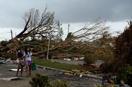 Phiến quân Philippines ngừng bắn tại vùng thảm họa Haiyan